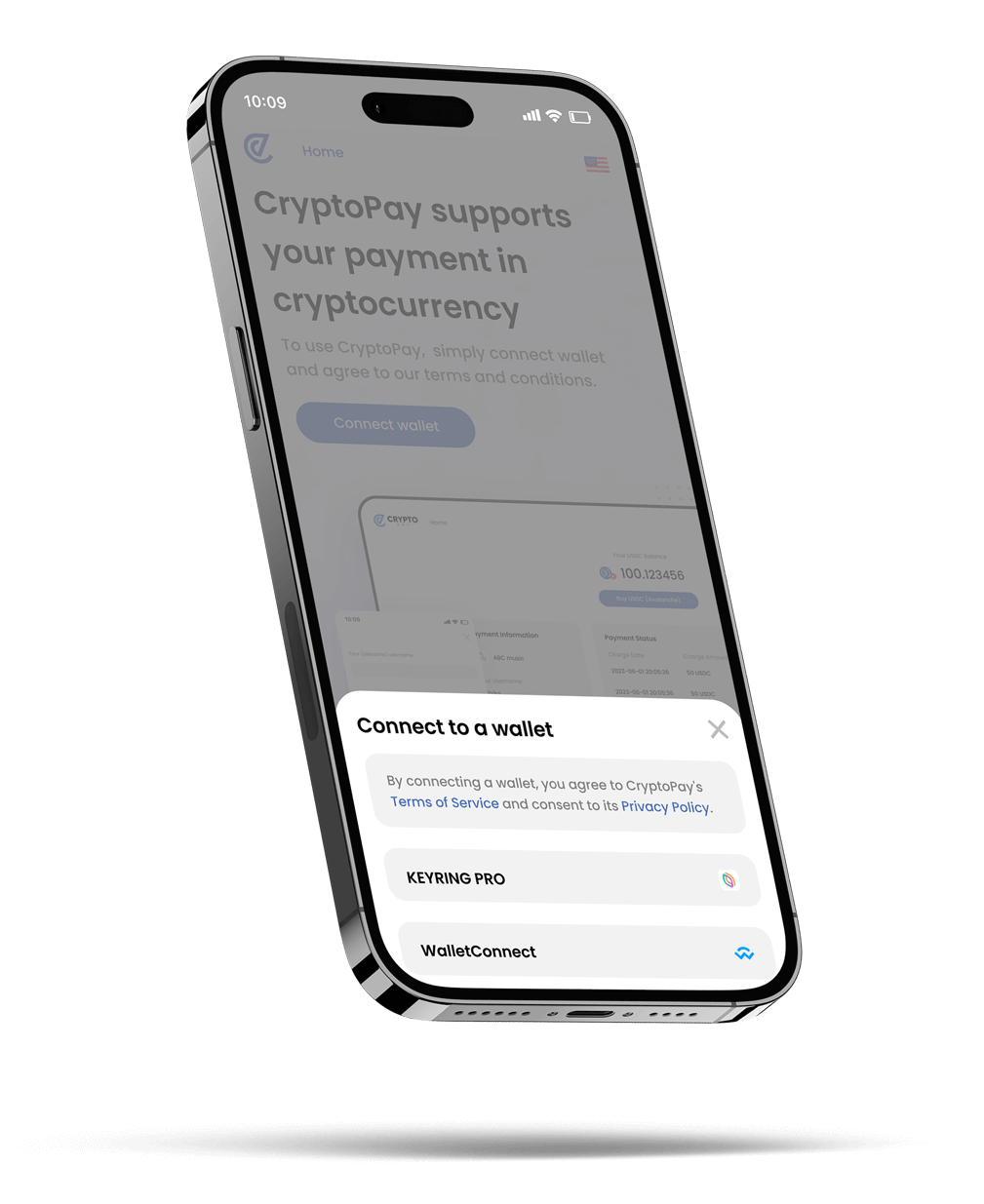 Crypto Pay Payment